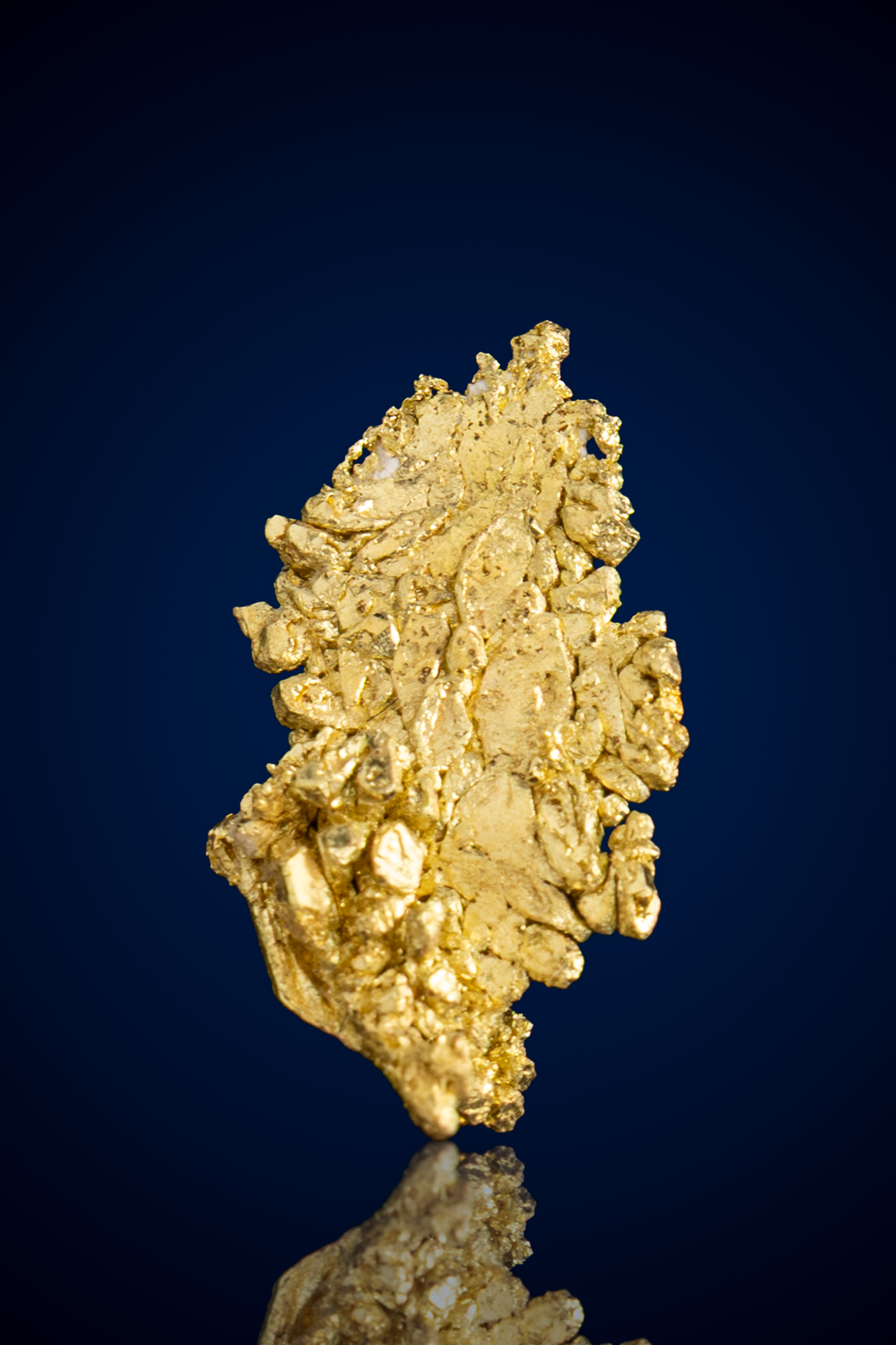 Leaf-Like, Reflective Natural Gold Nugget - Round Mountain, NV - 0.99 grams (image for) Leaf-Like, Reflective Natural Gold Nugget - Round Mountain, NV - 0.99 grams